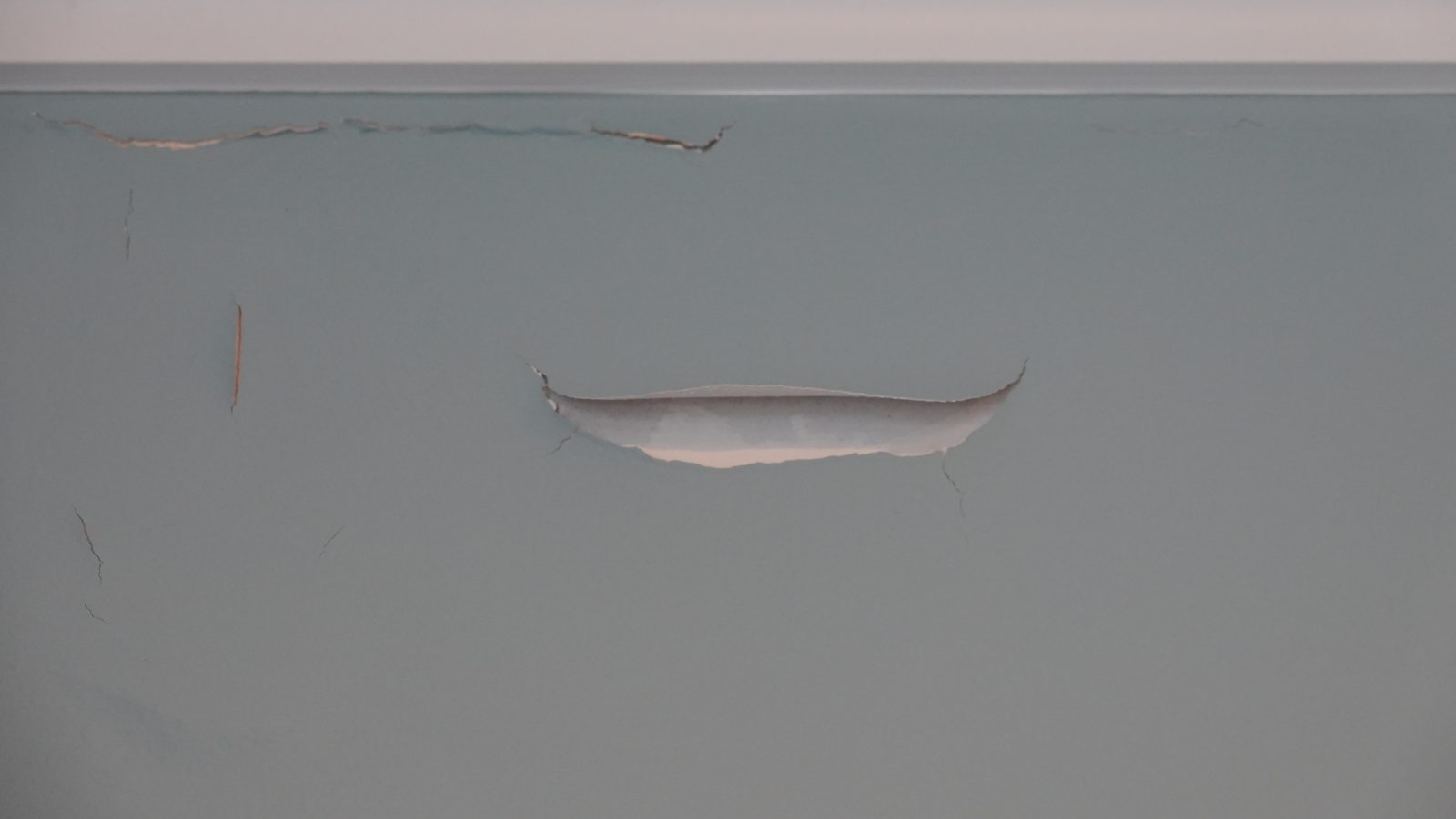 Paint lifted from the wall in a sheet, with hairline cracks