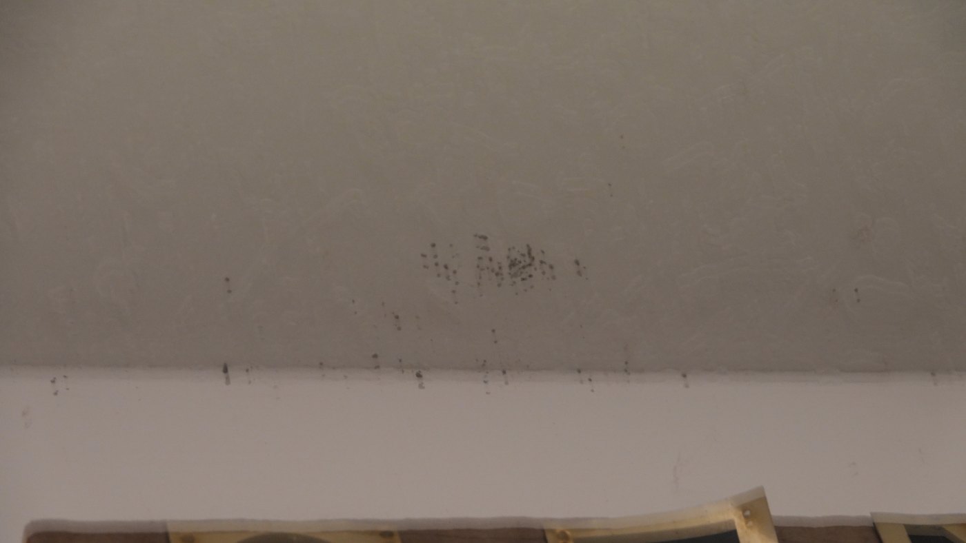 Dark speckling on the ceiling above the trim