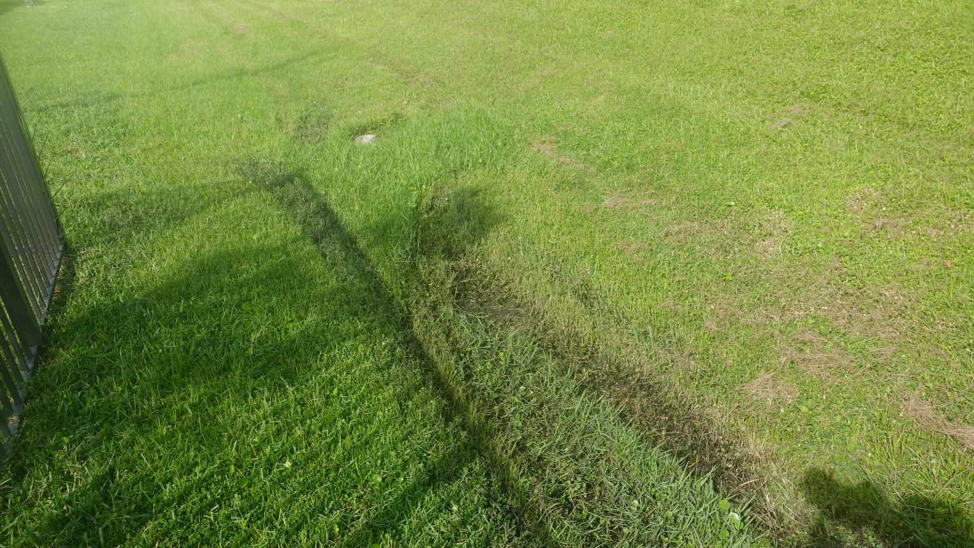 Rear fence: waterlogged turf