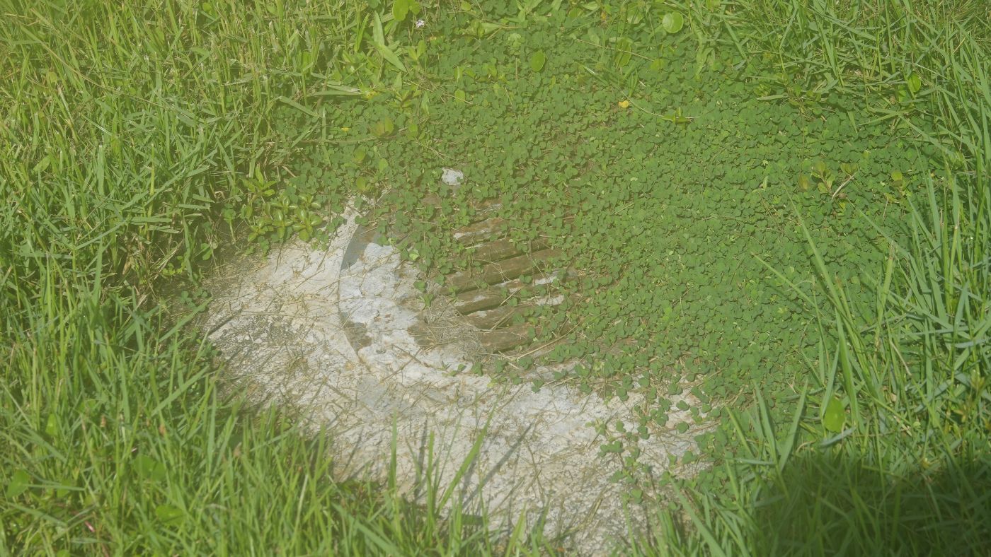 Rear-corner storm inlet, overgrown and rusted