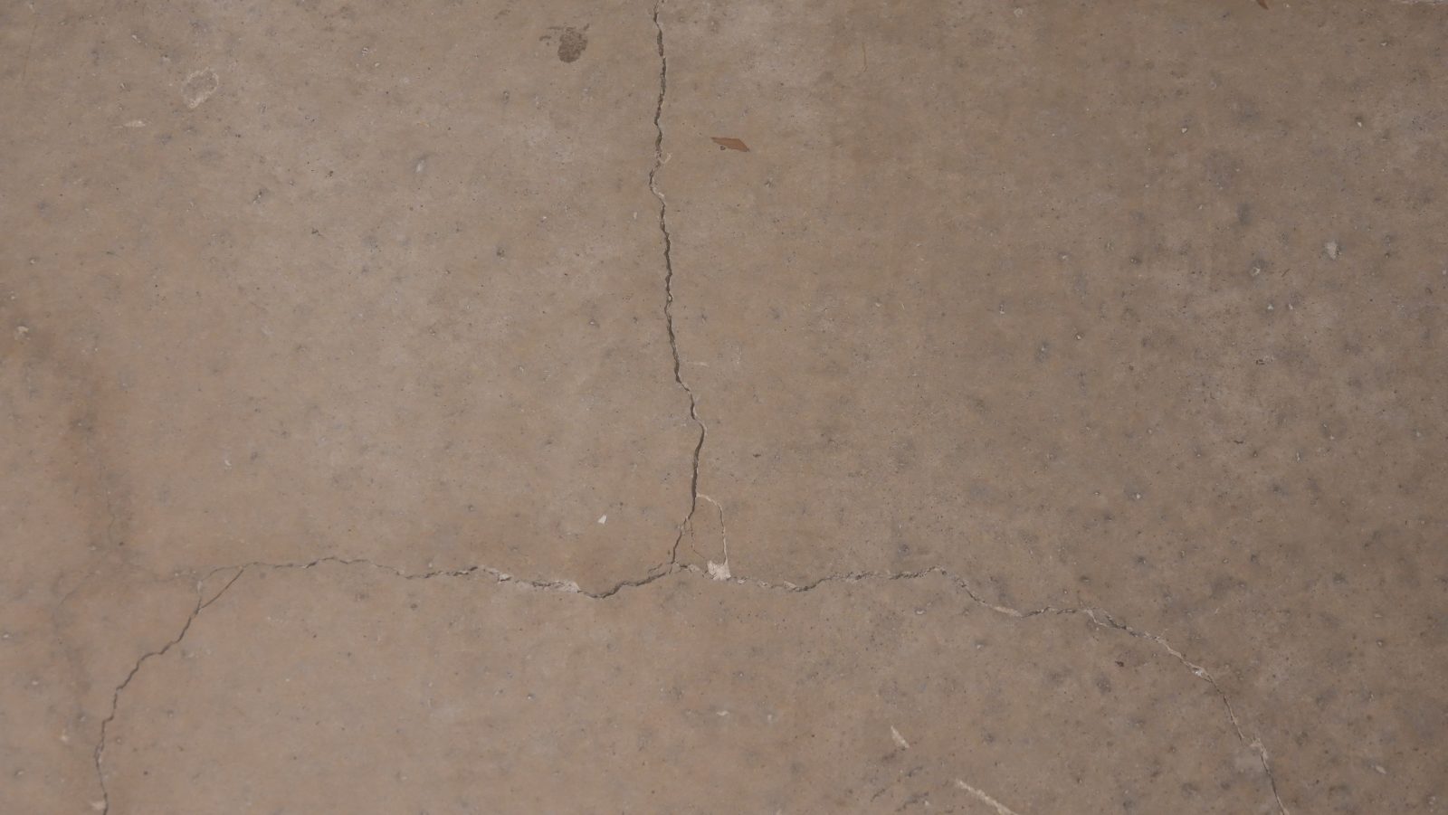 Ceiling paint delaminated in a sheet, exposing drywall