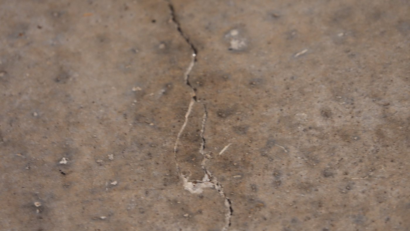 Garage slab: crack with spalled edges and a branch at lower right