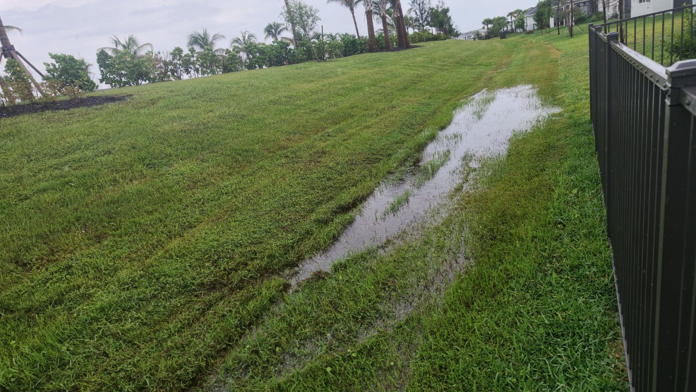 Standing water in the swale outside the rear fence, looking along the lot line